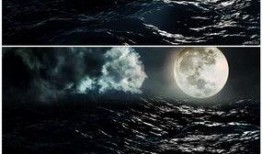 月光爆料最新视频下载,精彩瞬间不容错过！