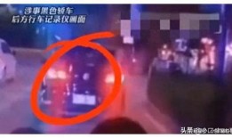 山东新学生爆料视频最新,揭秘校园内幕，引发社会关注