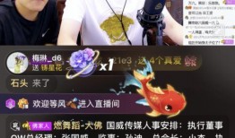 沈猛爆料佬哥视频大全最新,揭秘娱乐圈幕后真相