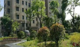 杭州新花园爆料案件最新,揭秘背后惊人真相