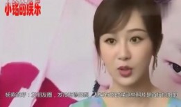 杨紫黑粉最新爆料,最新爆料揭露惊人内幕